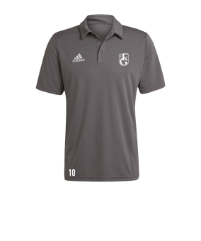 adidas Entrada 22 Poloshirt Grau