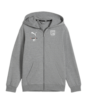 PUMA teamGOAL Casuals Kapuzenjacke Kids Grau F33