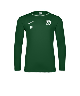 Nike Park 26 Longsleeve Grün F302