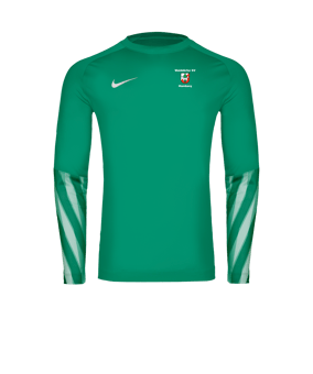 Nike Park V Torwarttrikot Langarm Grün F324