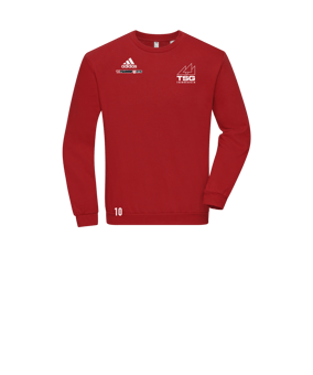 adidas Entrada 22 Sweatshirt Kids Rot