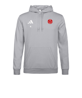 adidas Entrada 26 Sweatshirt à capuche Gris 