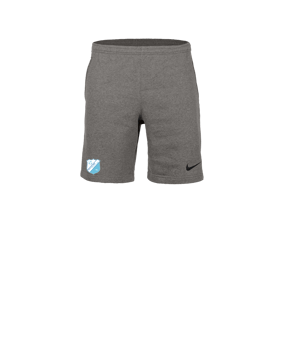 Nike Park 26 Short De Survêtement Gris C063