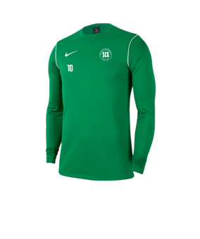 Nike Park 20 Training Sweatshirt Grün F302 