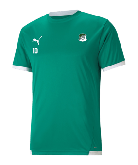 PUMA teamLIGA Trikot Grün F05