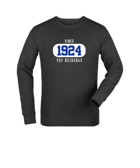 Merch Roller Sweatshirt Dark Heather Grey FC651