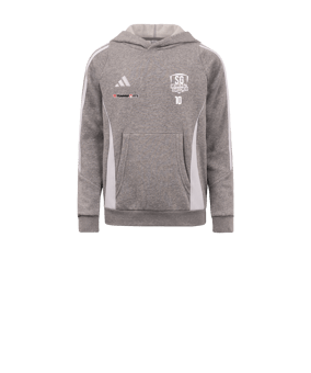 adidas Tiro 24 Hoody Kids Grau Weiss