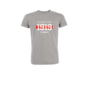 Merch Mini Creator 2.0 T-Shirt Kids Heather Grey | #established