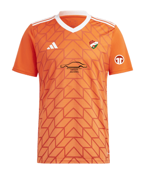 adidas Team Icon 23 Trikot Orange