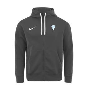 Veste à capuche Nike Park 20 Fleece grise F071 