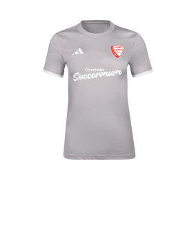adidas Entrada 26 T-Shirt Damen Grau