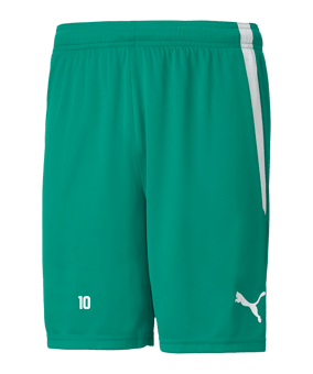 PUMA teamLIGA Short Grün Weiss F05