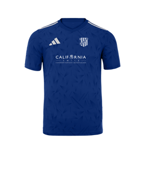adidas Team Icon 25 Trikot Hellblau