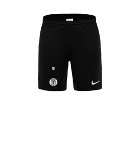 Nike Park III Court Noir C010 
