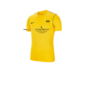Nike Park 20 T-Shirt Kids Gelb F719