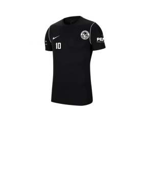 Nike Park 20 T-Shirt Kids Schwarz F010