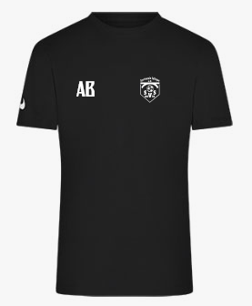 Nike Park 20 T-Shirt Kids Schwarz Weiss F010