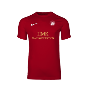 Nike Park VIII Trikot Rot F657