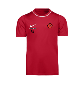 Nike Park 26 Trainingsshirt Kids Rot F657