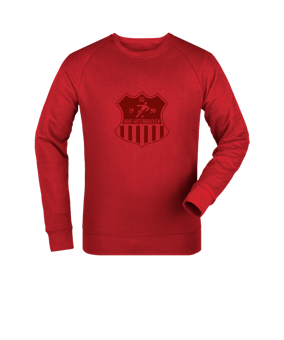 Merch Roller Sweatshirt Red | #toneintone