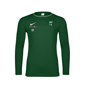 Nike Park 26 Longsleeve Grün F302