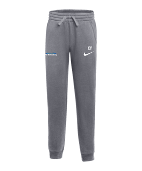 Nike Park 26 Jogginghose Kids Grau F071