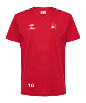 Hummel hmlAUTHENTIC PL Trikot Kids Rot F3062