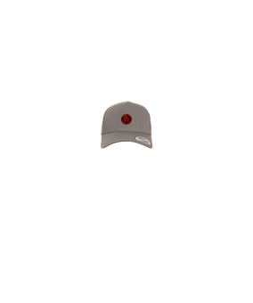 Merch 5 Panel Curved Snapback Cap Grey