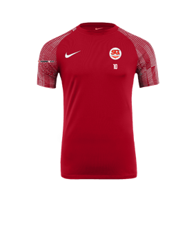 Nike Academy Trikot Rot Weiss F657