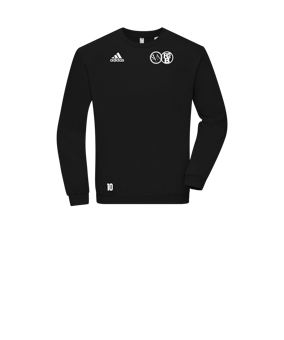 adidas Entrada 22 Sweatshirt Kids Schwarz