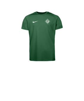 Nike Park VIII Trikot Kids Grün F302