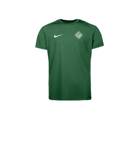 Nike Park VIII Trikot Kids Grün F302