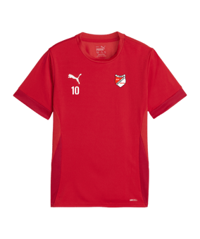 PUMA teamGOAL Matchday Trikot Kids Rot Weiss F01