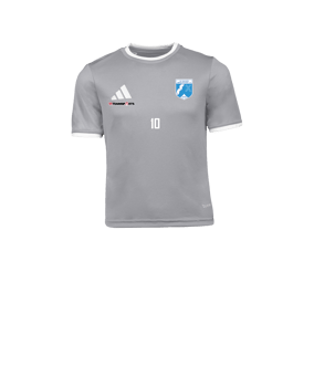 adidas Entrada 26 Trikot Kids Grau
