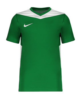 Nike Park Derby IV Trikot Kids Grün F302 - gruen