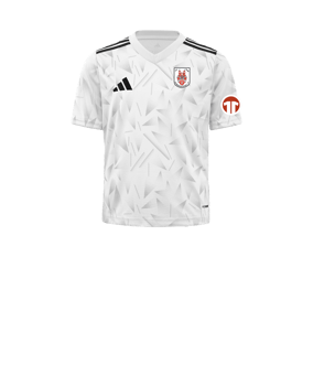 adidas Team Icon 25 Trikot Kids Weiß