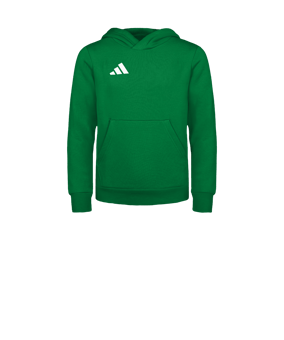 adidas Entrada 26 Hoody Kids Grün