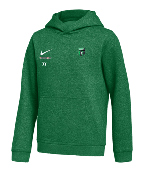 Nike Park 26 Hoody Kids Grün F302