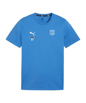 PUMA teamGOAL Casuals T-Shirt Blau F02