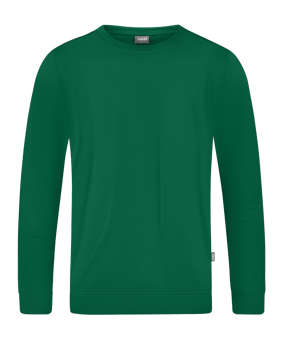 JAKO Doubletex Sweatshirt Grün F260 - gruen