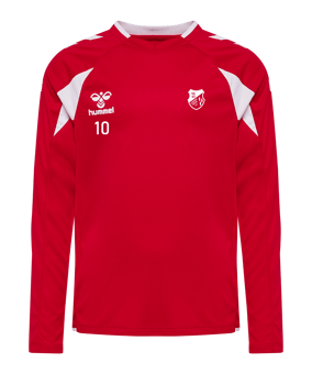 hummel Core 2.0 Trikot Langarm Kids Rot F3946
