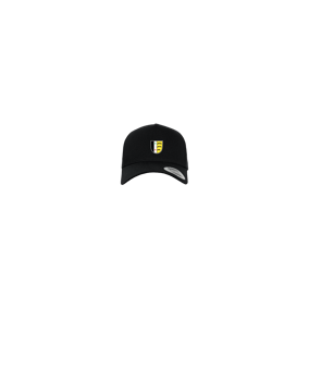 Merch 5 Panel Curved Snapback Cap Schwarz  | #logo4c