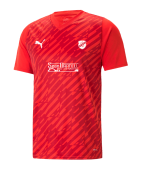 PUMA teamULTIMATE Trikot Rot F01