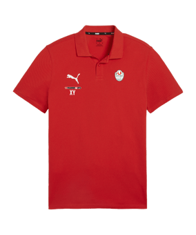 PUMA teamGOAL Casuals Poloshirt Rot F01