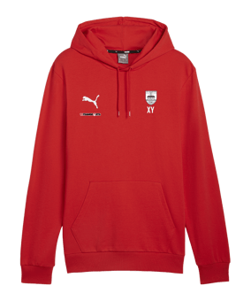 PUMA teamGOAL Casuals Hoody Rot F01