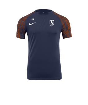 Nike Academy Trikot Blau Rot F411