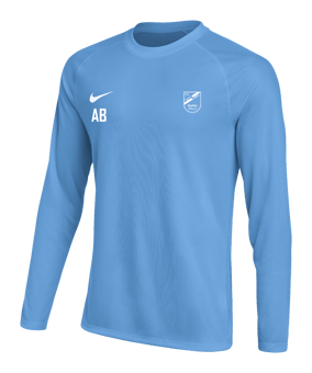 Nike Park VIII Trikot langarm Blau F412