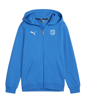 PUMA teamGOAL Casuals Kapuzenjacke Kids Blau F02