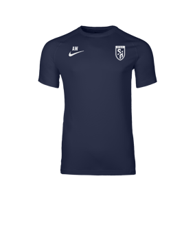 Nike Park VIII Trikot Blau F410