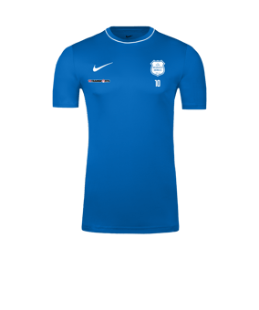 Nike Park 26 Trainingsshirt Blau F463